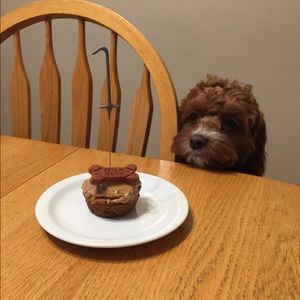 Meet your Posher, Jocelyn